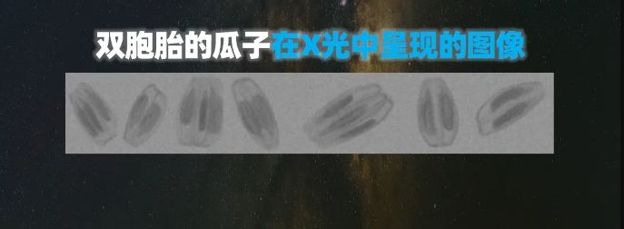 http://www.5191k.com/Upload/ueditor/1739781751262784.png