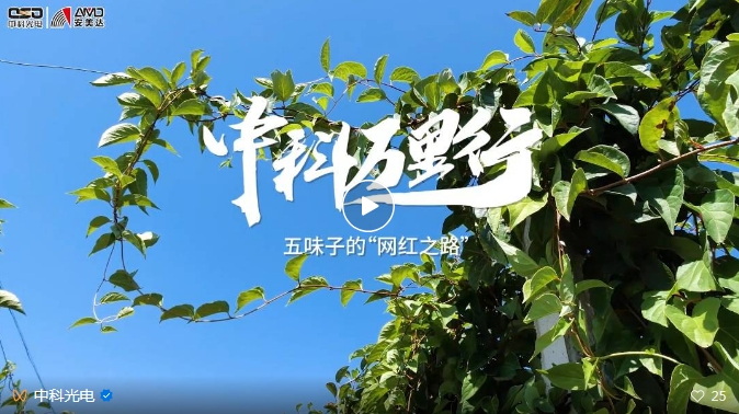 http://www.5191k.com/Upload/ueditor/1743473521157045.png