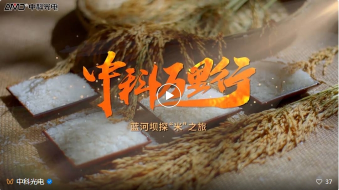 http://www.5191k.com/Upload/ueditor/1743473561850796.png